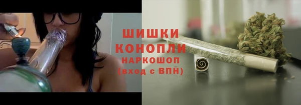 ГАЛЛЮЦИНОГЕННЫЕ ГРИБЫ Алексеевка