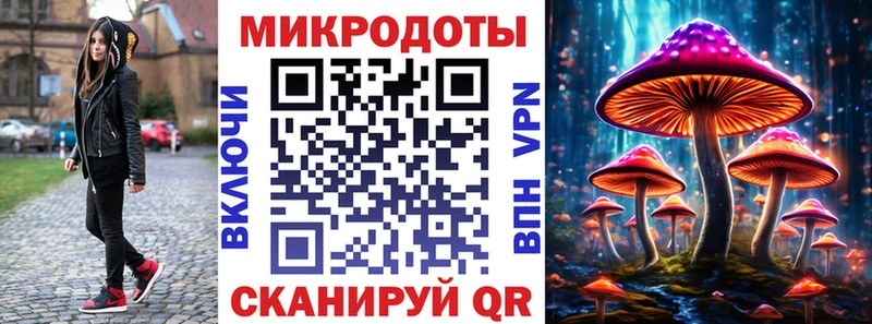 купить наркотик Нефтеюганск Псилоцибиновые грибы Psilocybe