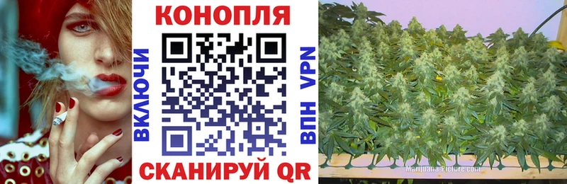 Канабис OG Kush Нефтеюганск